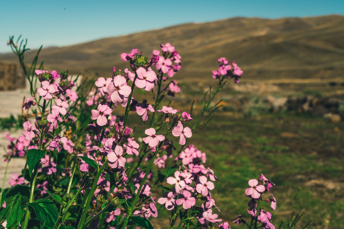 Things to do in Puerto Natales, Chile