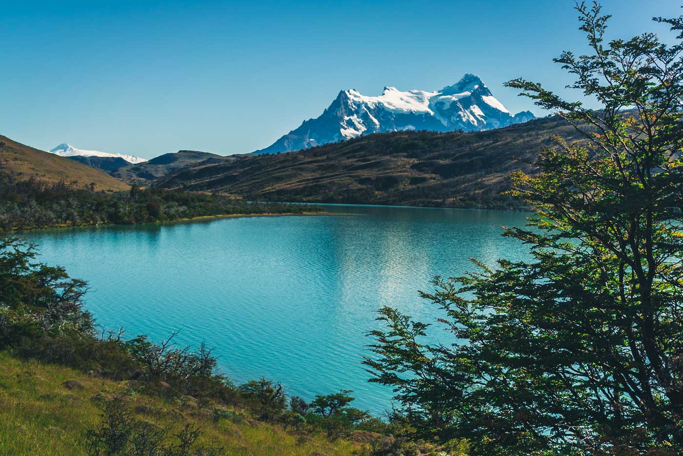 Laguna Verde