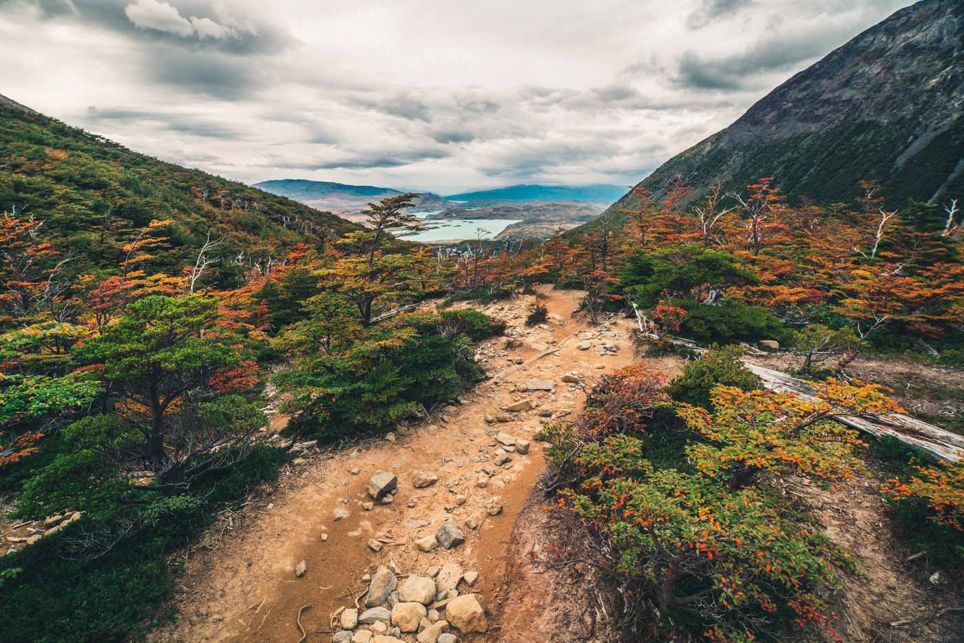 Fall colours paint the French Valley at Torres del Paine National Park, Patagonia, Chile