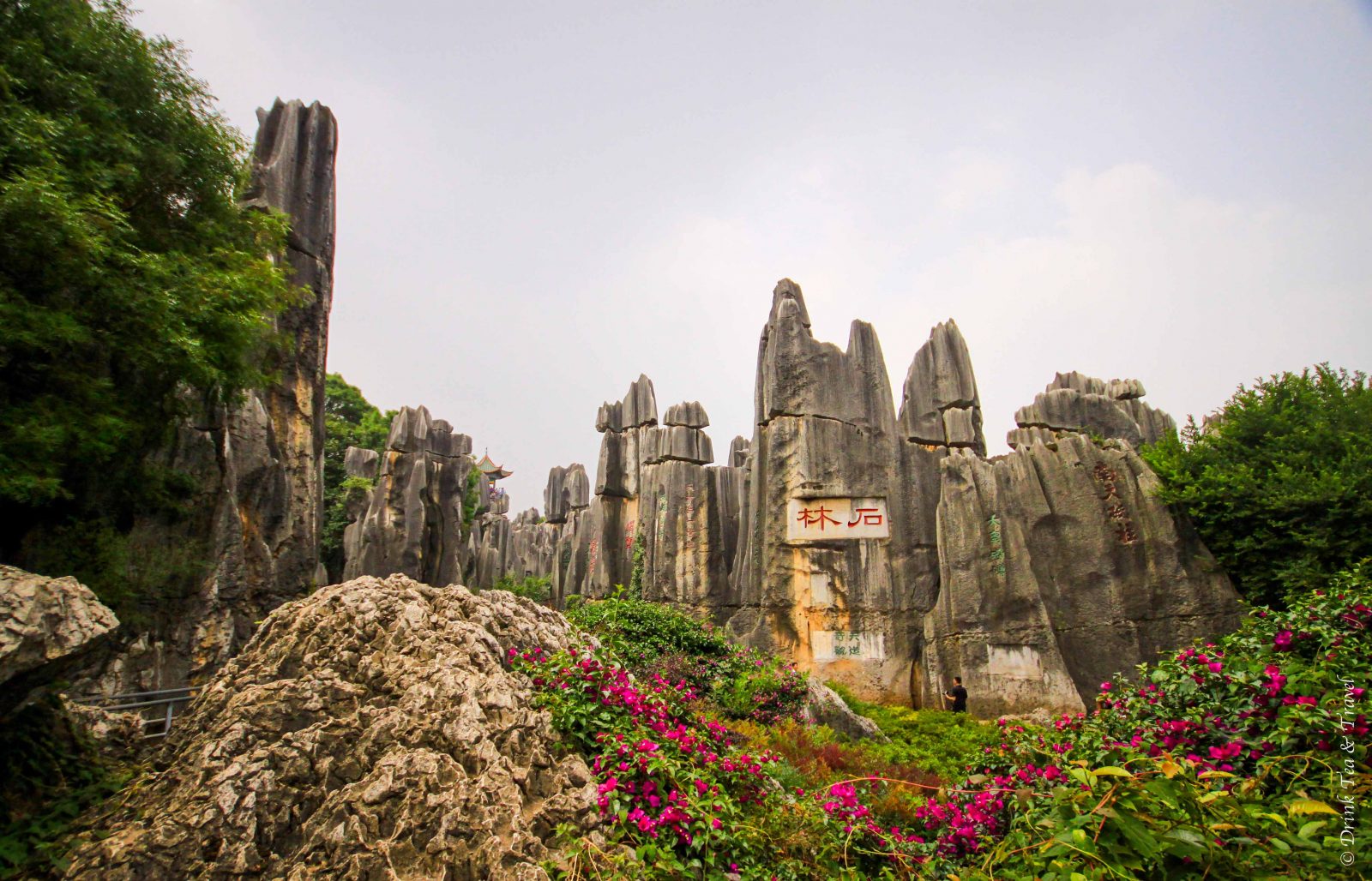 Stone Forest (Shilin), Yunnan, China