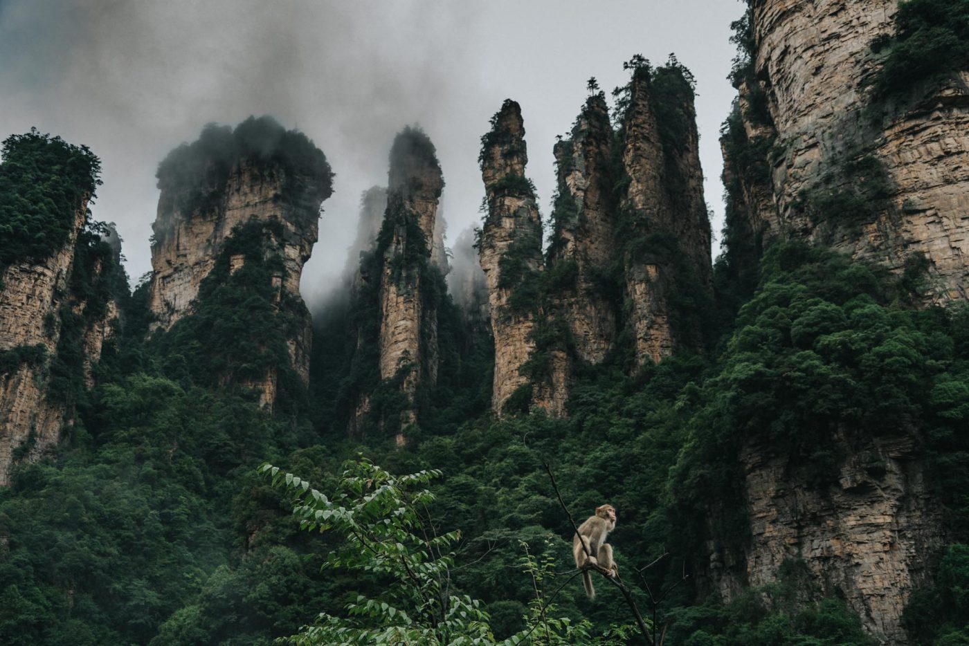 Beautiful places in China: Zhangjiajie National Park, China