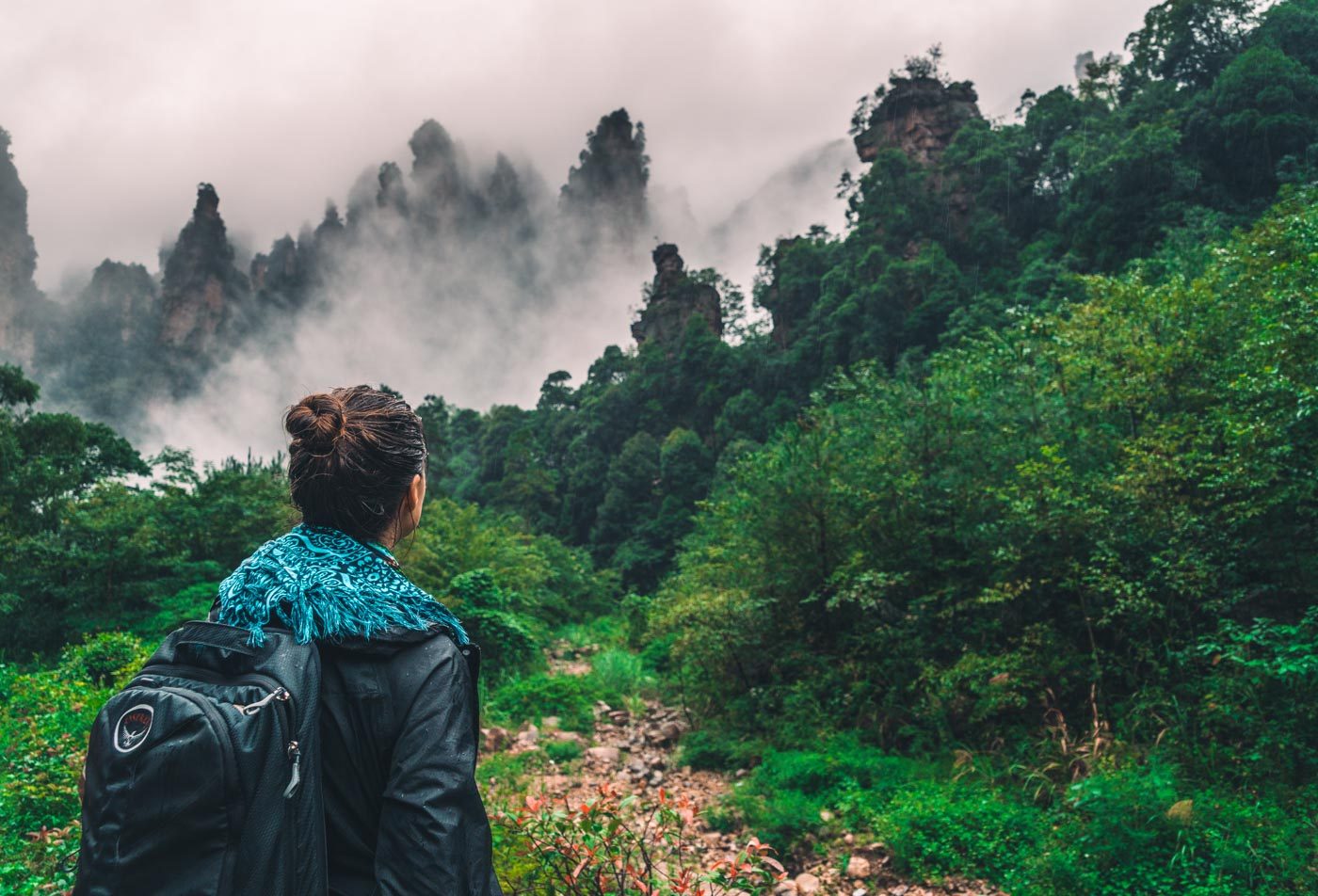 Guide To Visiting Zhangjiajie National Forest Park The Avatar Mountain In China Drink Tea Travel