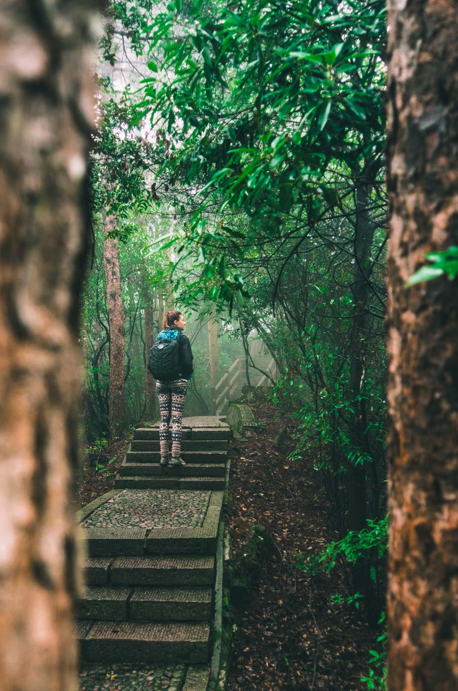 Guide to Visiting Zhangjiajie National Forest Park