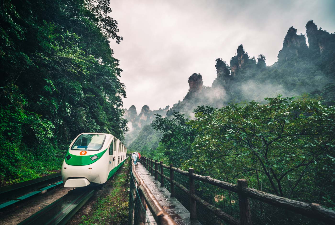 Guide to Visiting Zhangjiajie National Forest Park