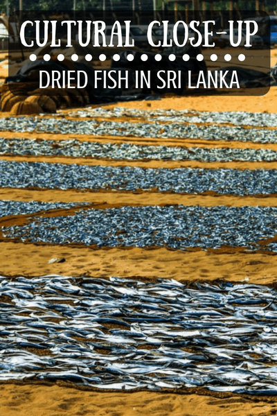 Dried fish is a common protein source in Sri Lanka. Here, at the Negombo Fish Market, you can see the fish drying process for yourself.