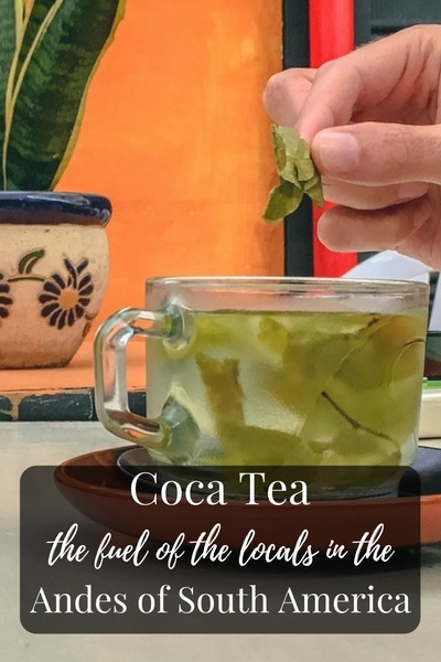 Coca Tea (Mate de Coca), the fuel of the locals in the Andes of South America