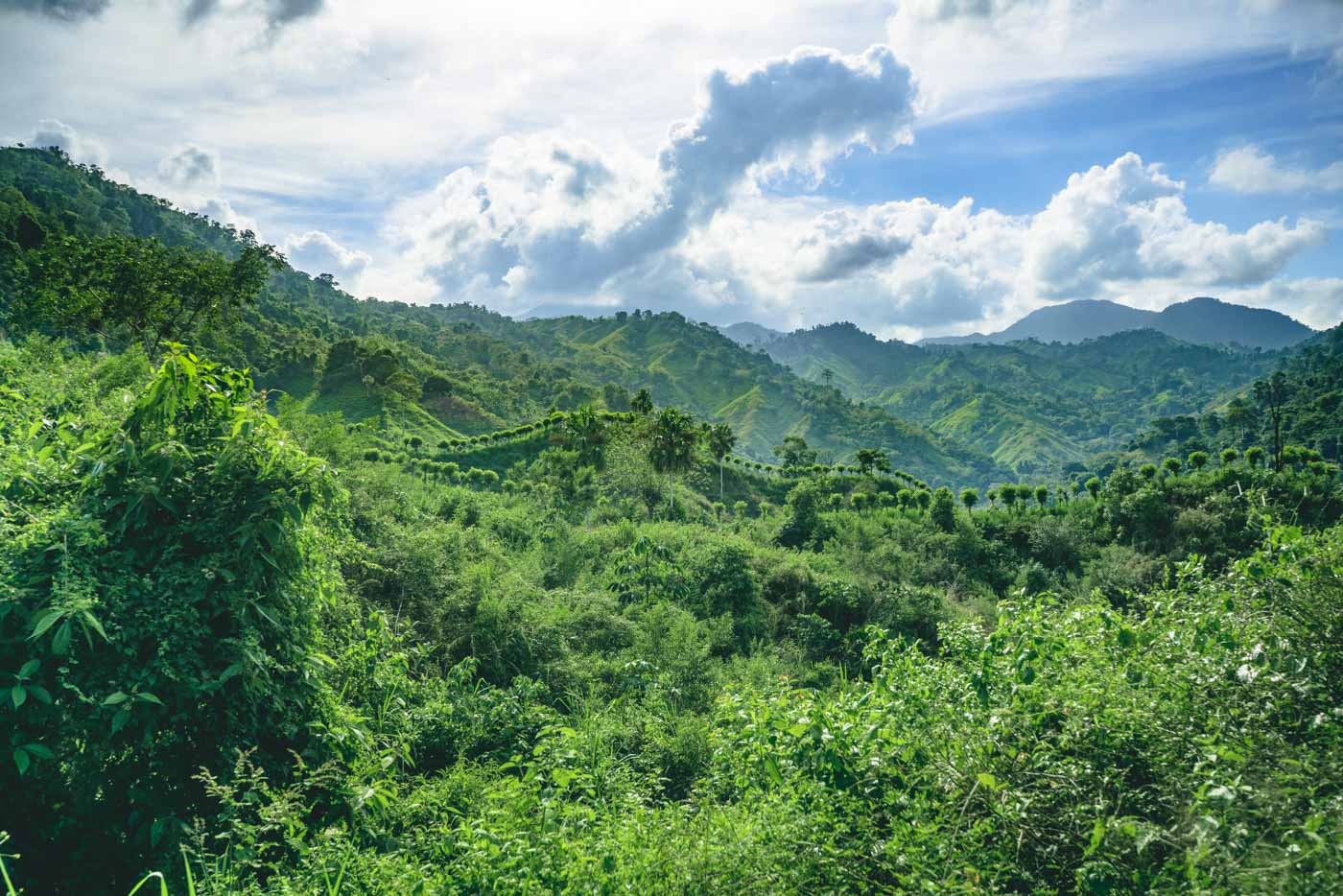 Lost City Trek Colombia 