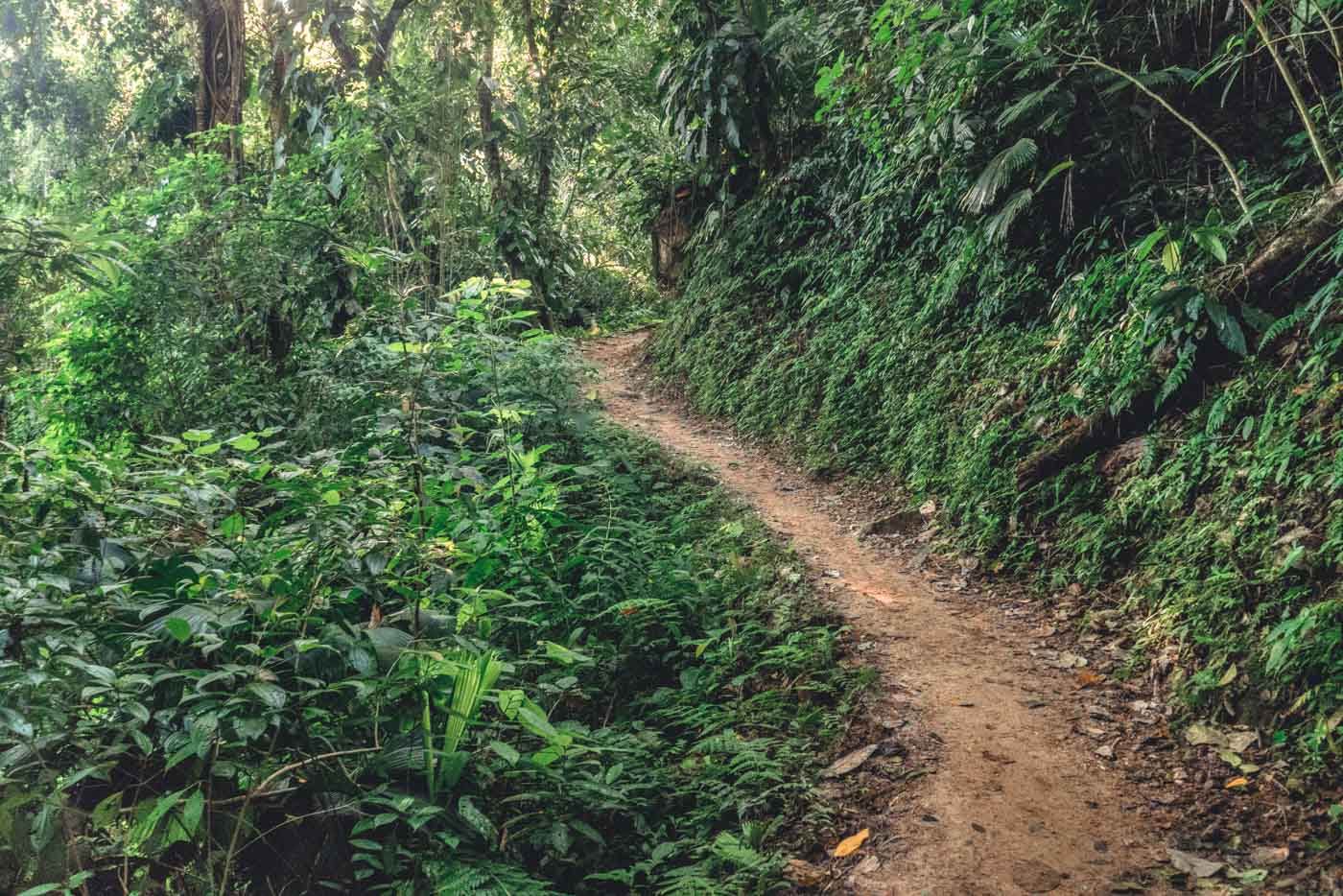 Easy trail on Day 2 from Adan Camp to Mamuke Camp. Lost City trek