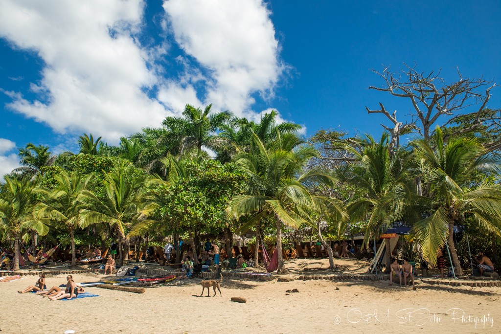 Playa Avellanas, Gaanacaste