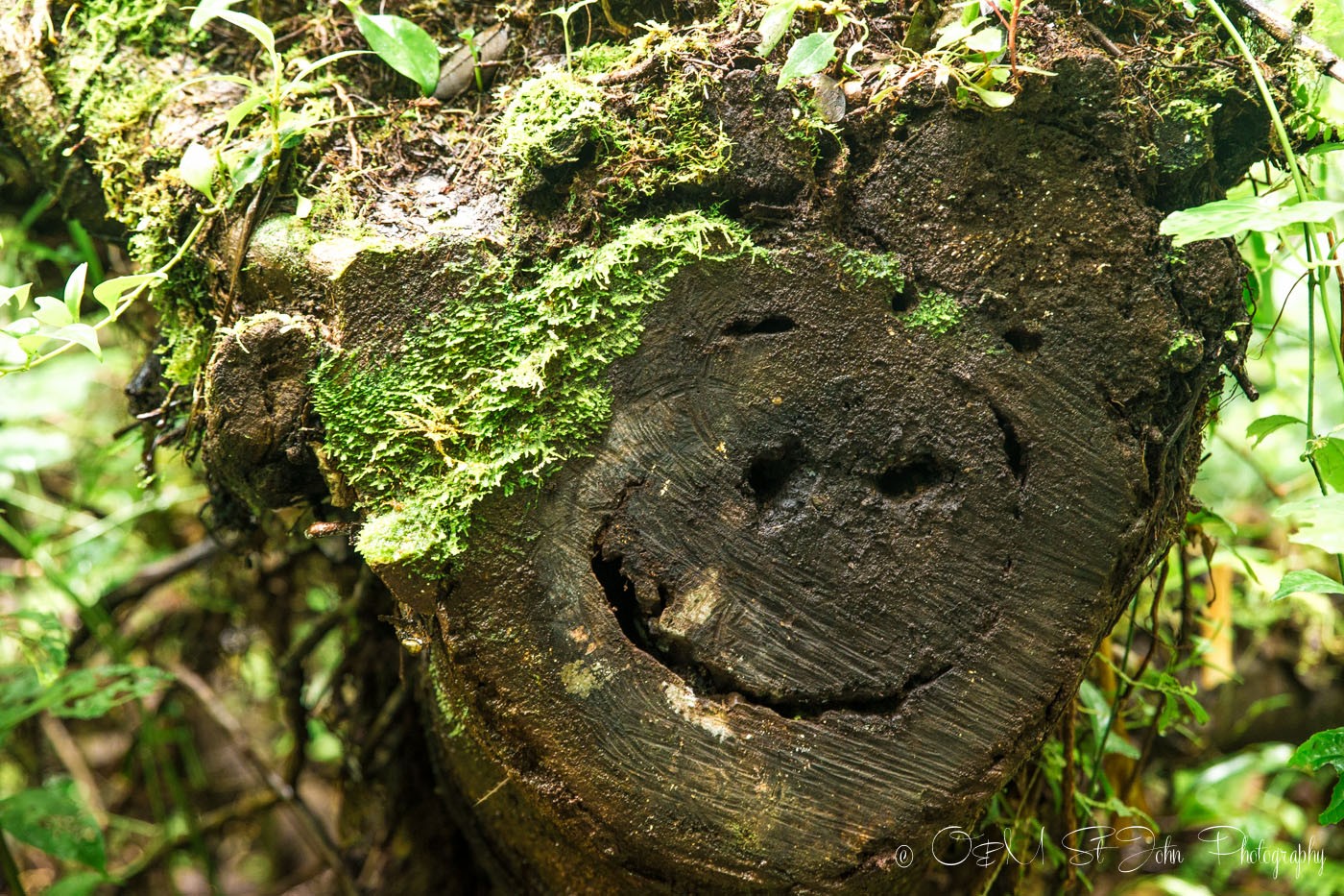 Happy in Costa Rica