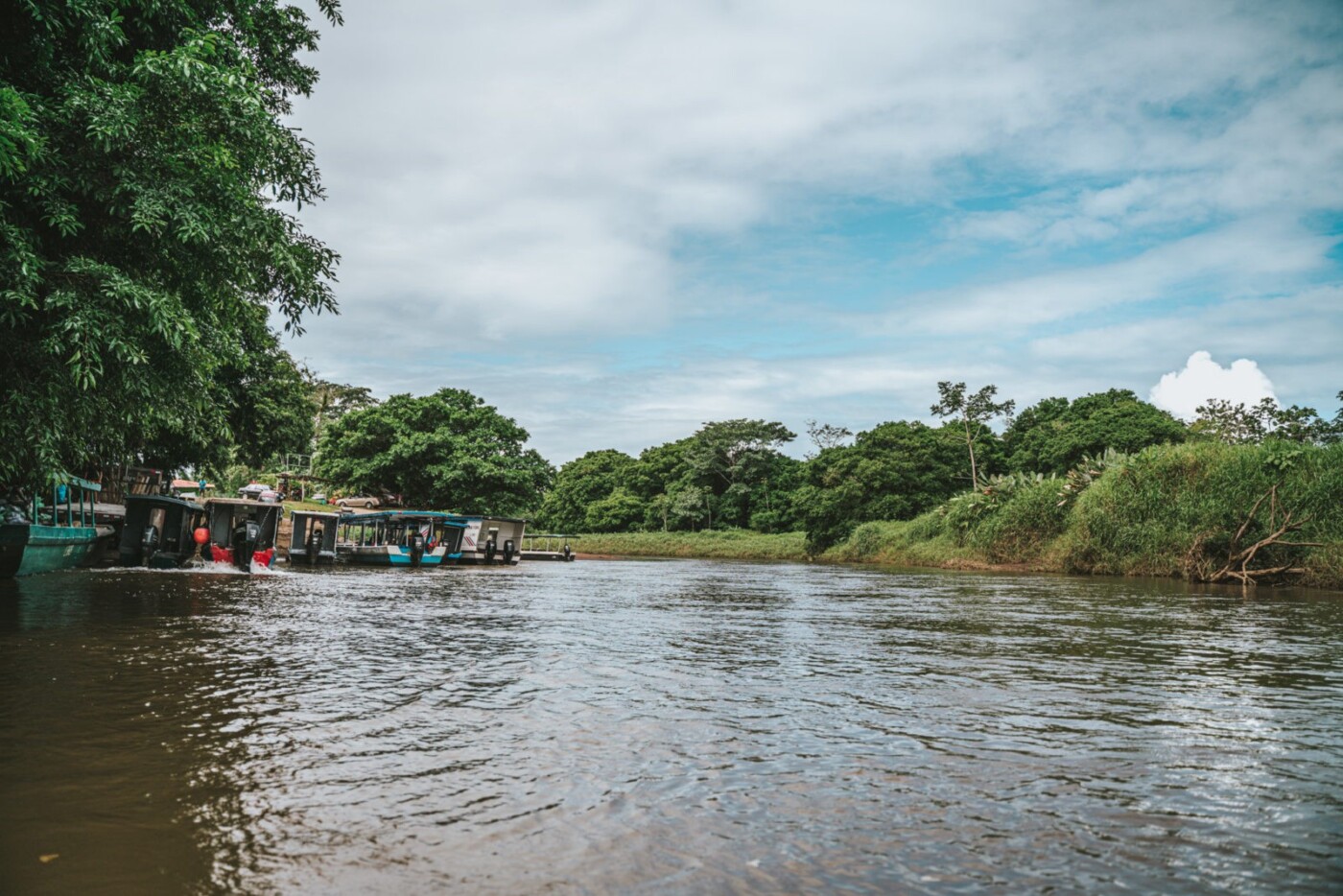 Costa Rica Caribbean Tortuguero La Pavona 00176