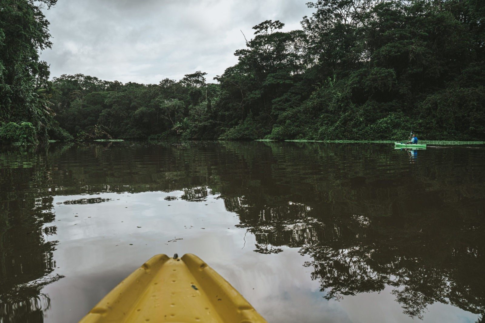 Costa Rica Caribbean Tortuguero kayaking 00782