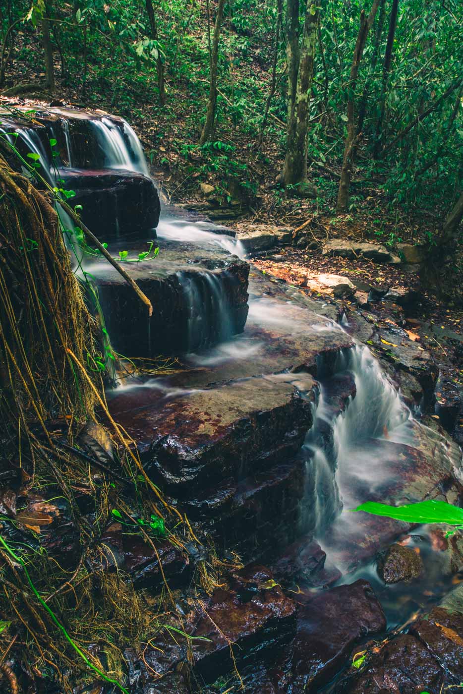 Costa Rica Dominical Waterfall Villas 7099