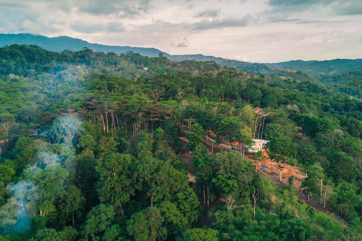 Lush tropic rainforest of Dominical