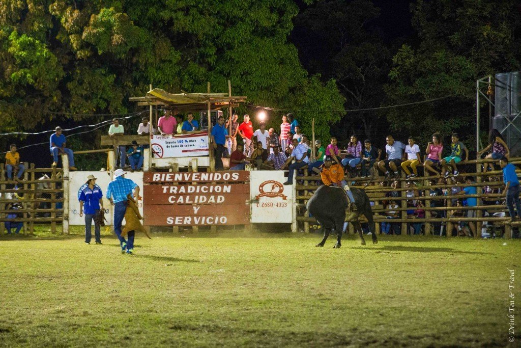 The bull is out! The rider is trying to hold on to the bull for as long as possible.