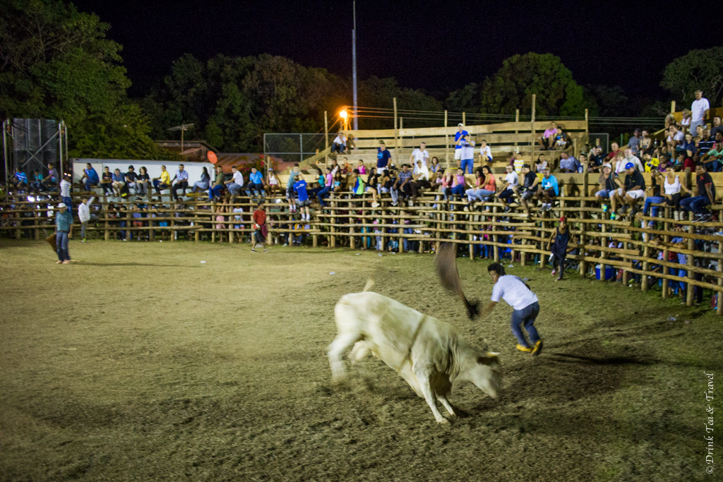 The bull and the matador.