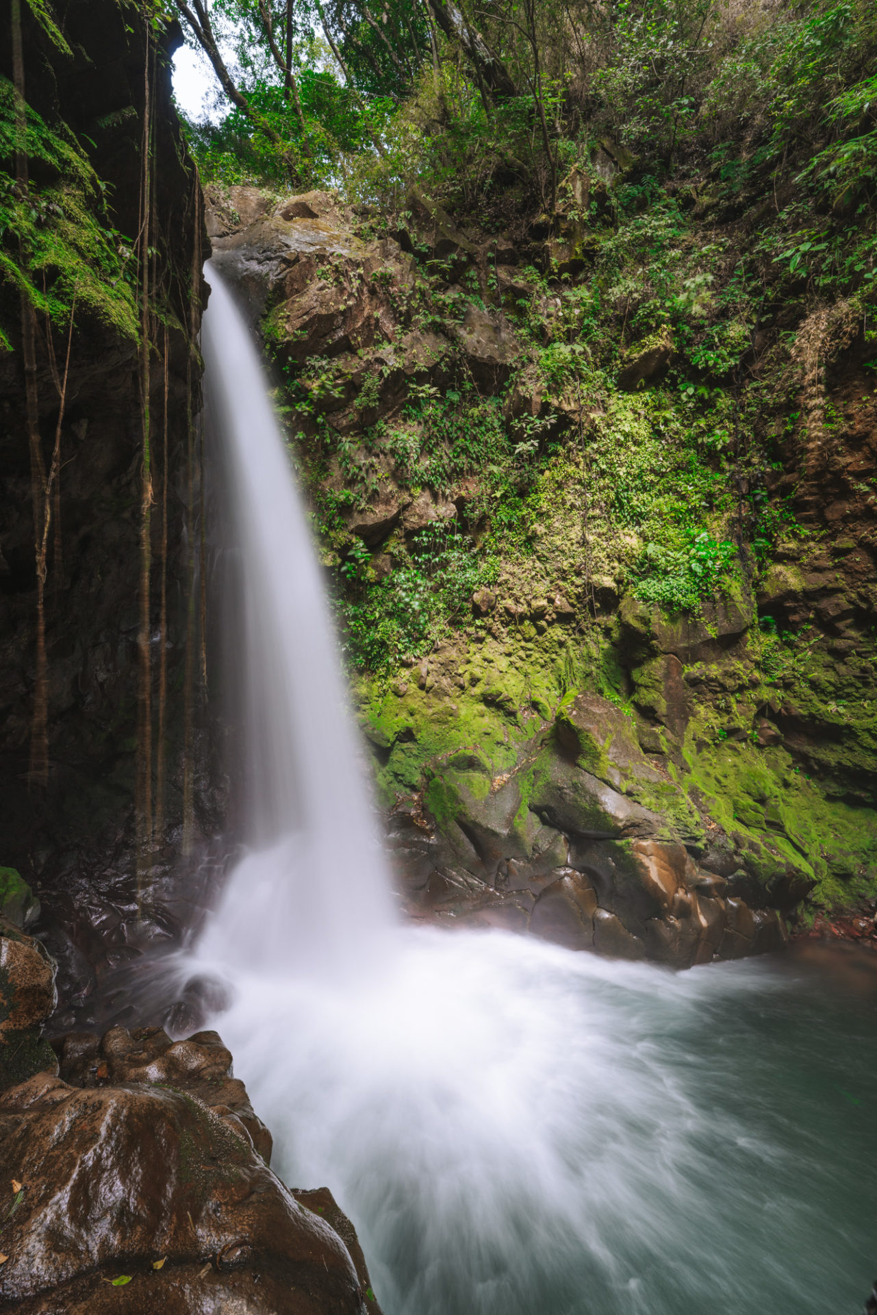 Costa Rica Guanacaste Rincon de la Vieja Guachipelin Oropendola waterfall 07304