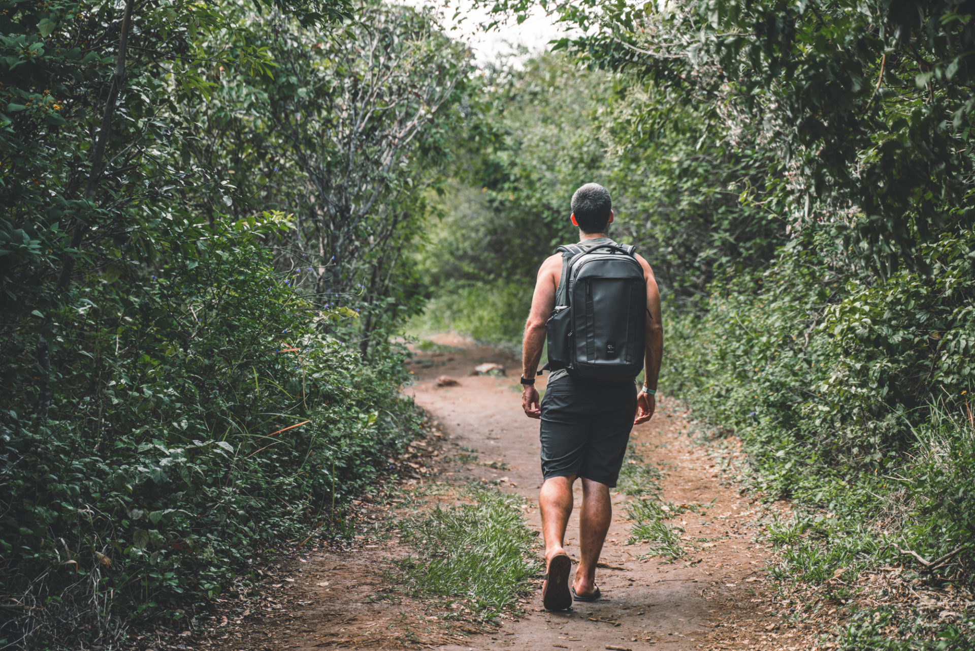 trail in Rincon de la Vieja National Park