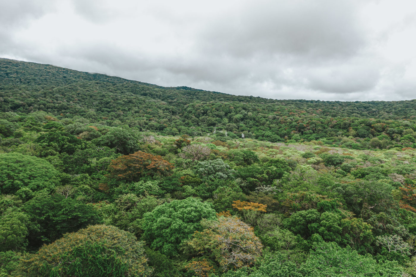 Rincon de la Vieja National Park, Guanacaste