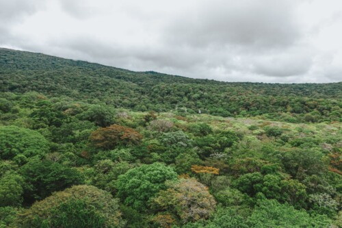 Costa Rica Rainy Season: What It’s Like & Why We Love It