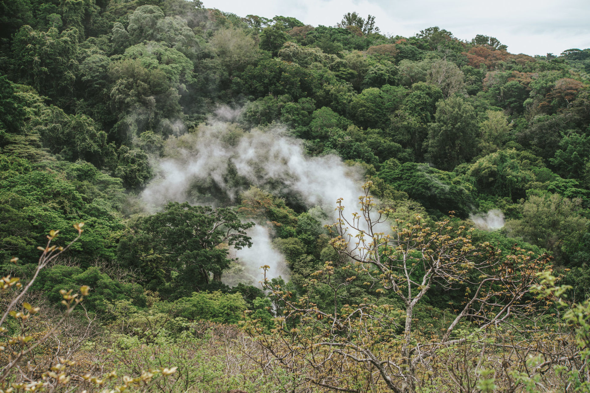 Fumaroles at Rincon de la Vieja National Park