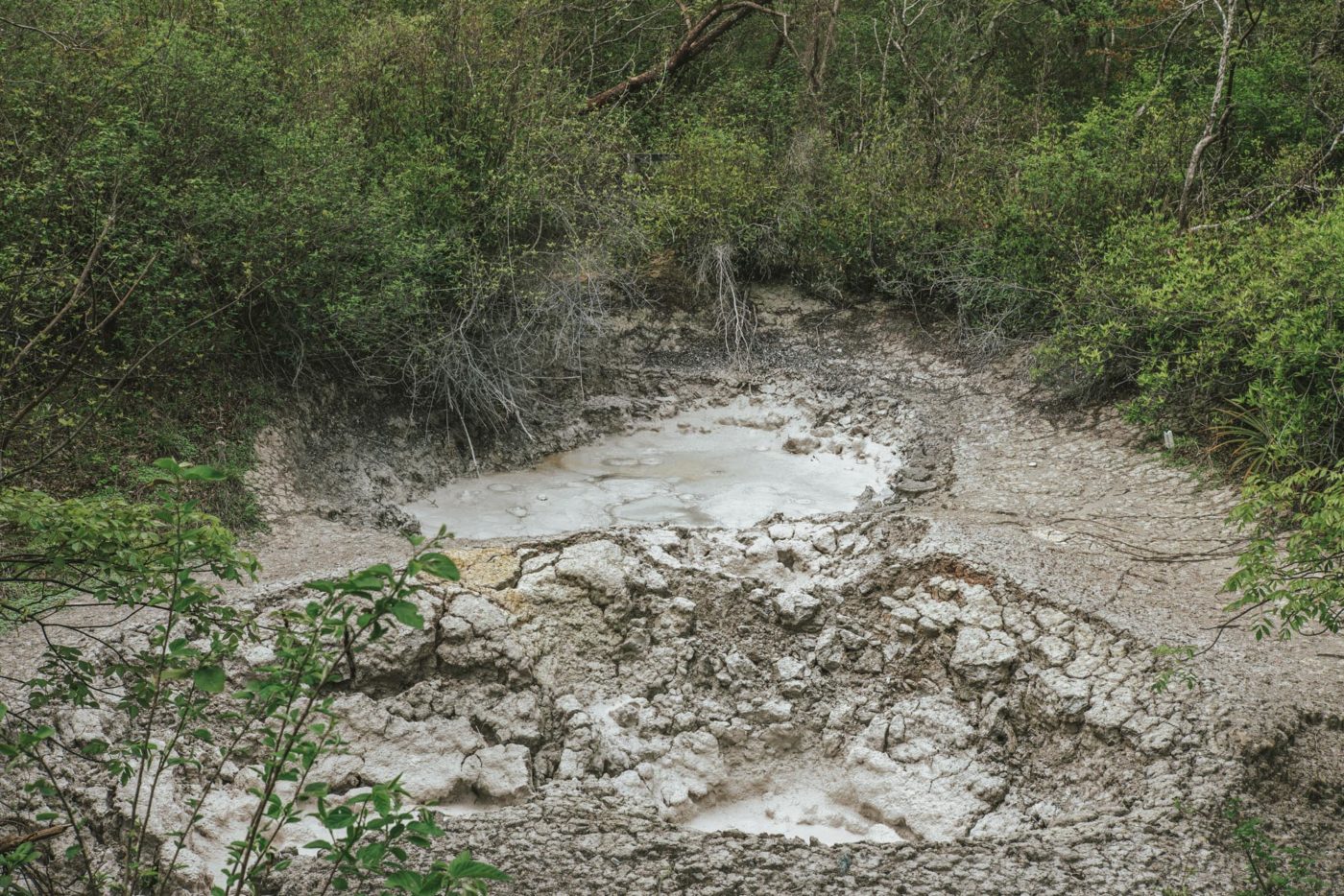 Costa Rica Guanacaste Rincon de la vieja National Park bubbling mud pots 05432