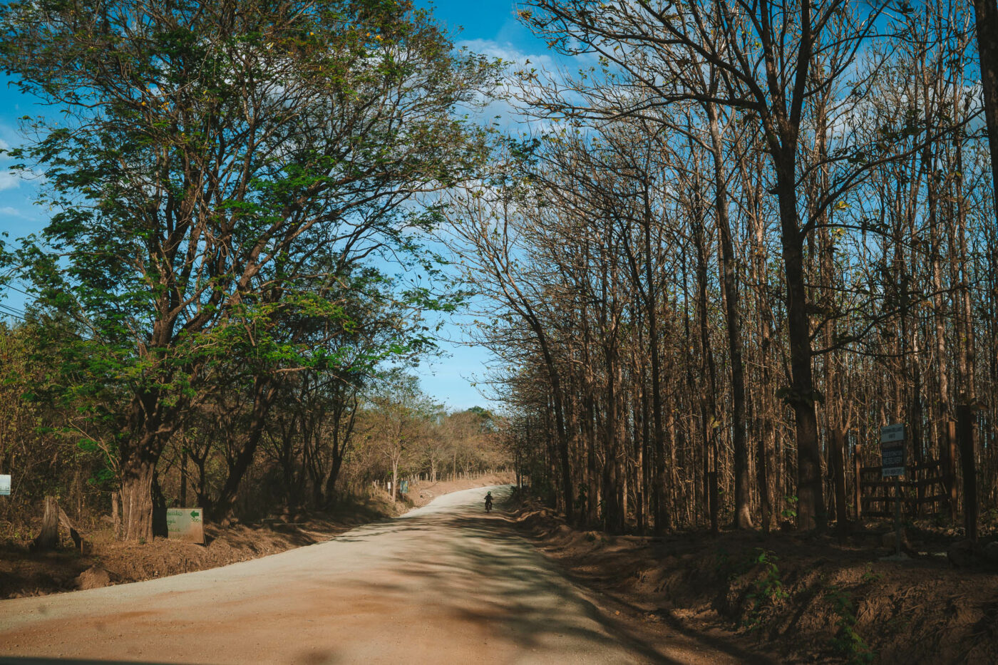 A dirt road is common in Guanacaste, Costa Rica