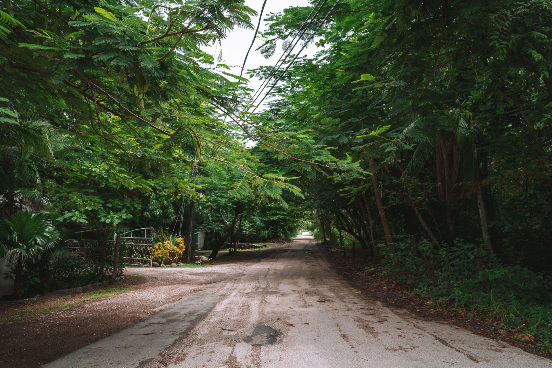 Driving on a dirt road in Costa Rica