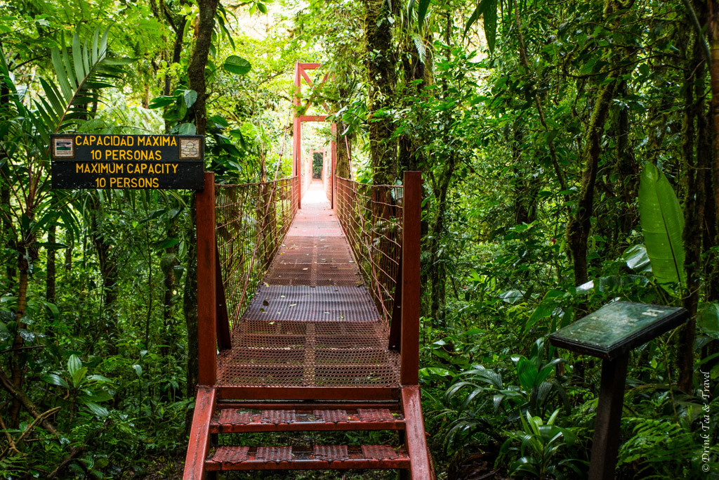 Suspension bridge along the Puente Trail in Monteverde Cloud Forest Reserve