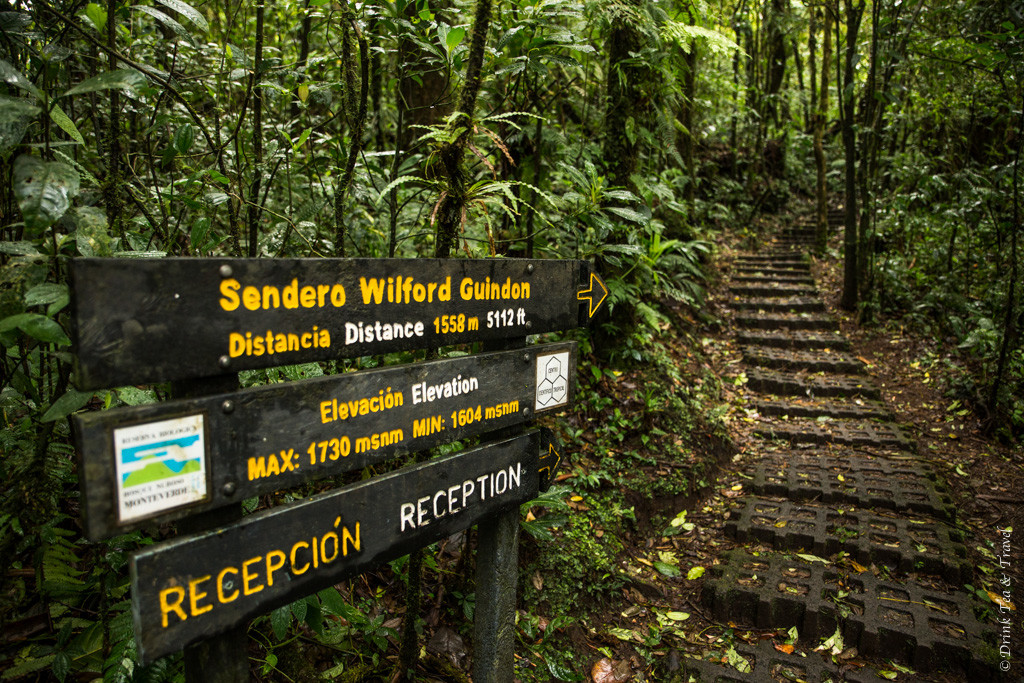 Reasons to visit Monteverde Cloud Forest Reserve, Costa Rica