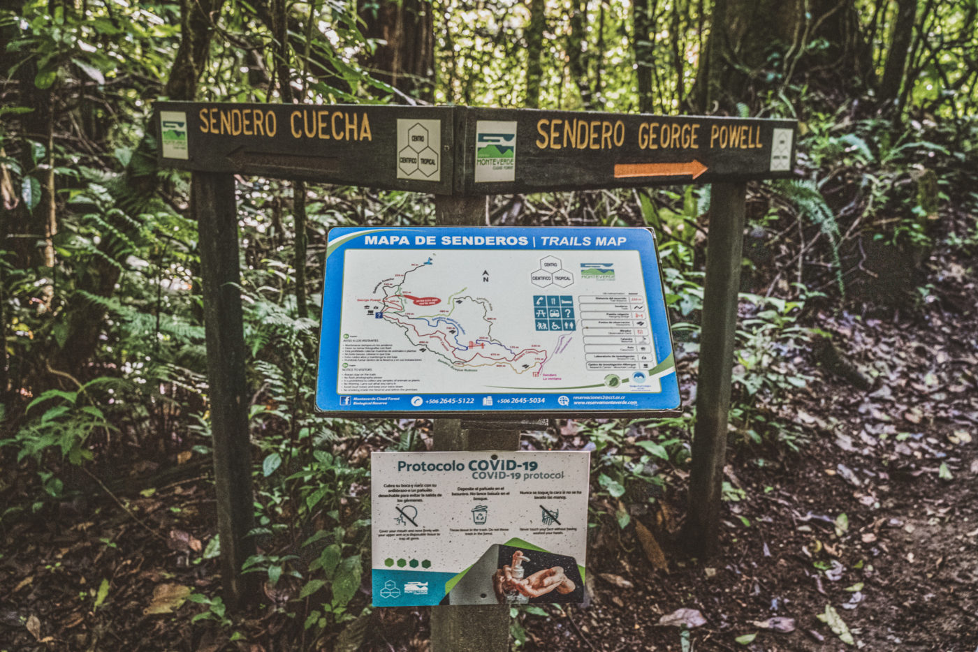 Costa Rica Monteverde trail 05108