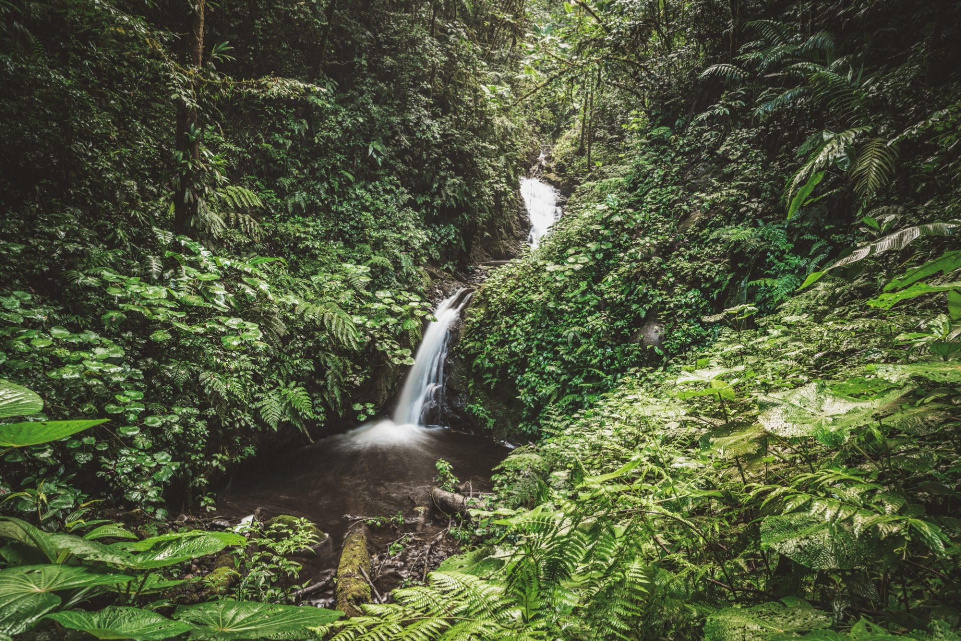 Costa Rica Monteverde waterfall 05128