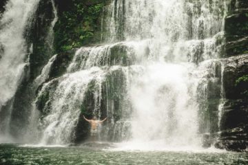 nauyaca waterfall hike