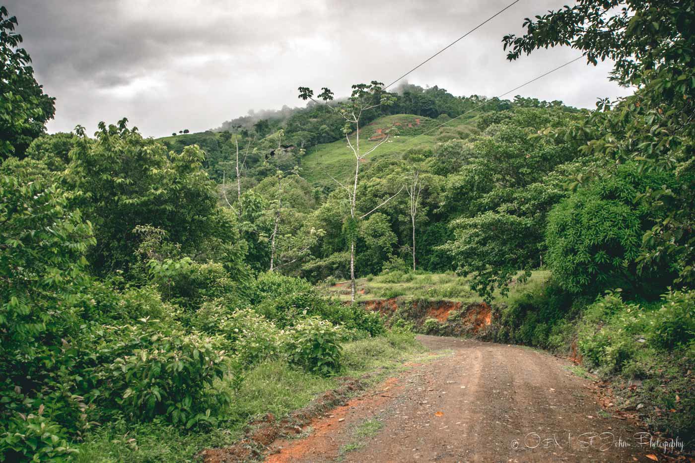 Driving in Costa Rica can be a bit challenging at times