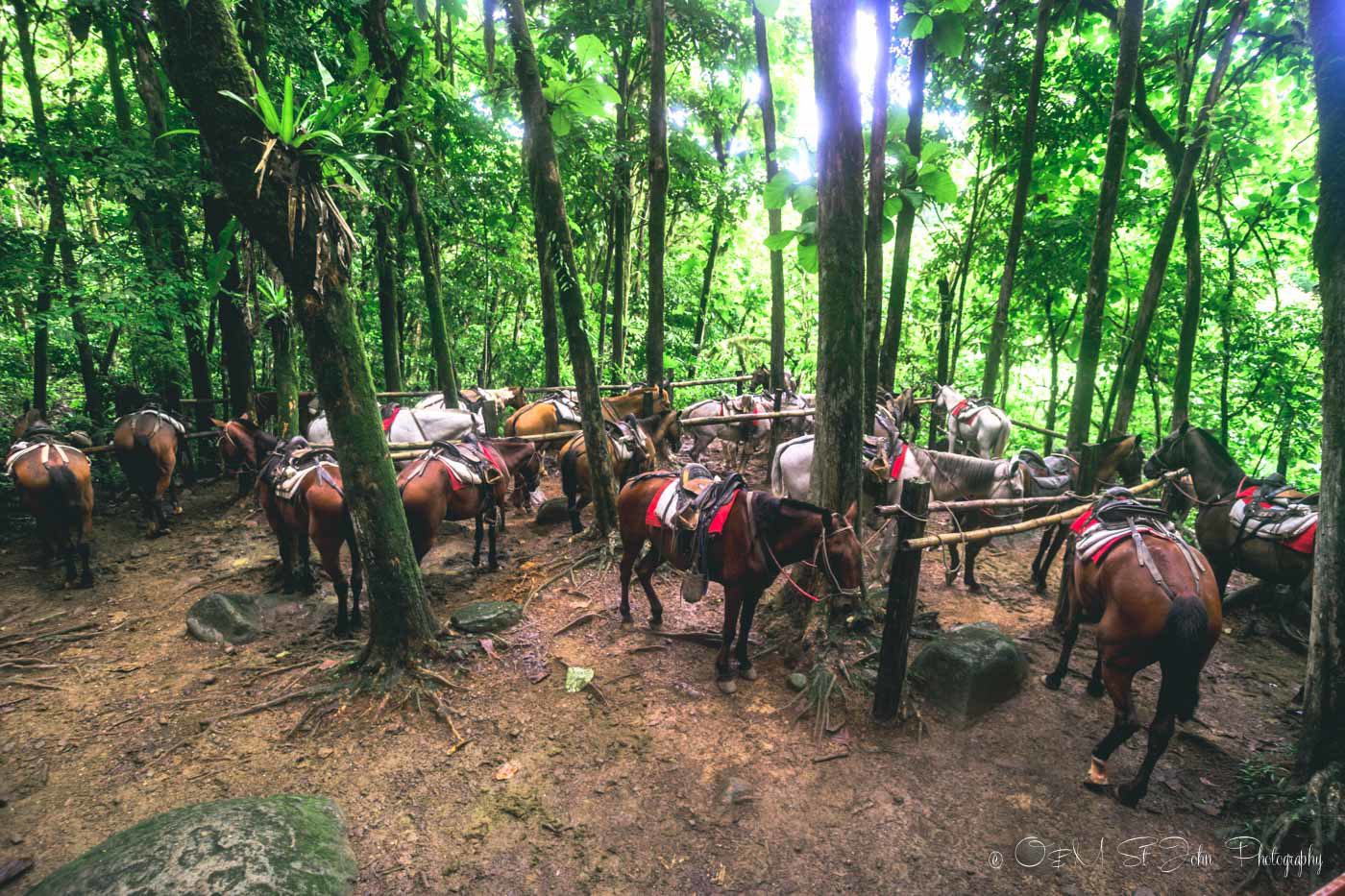 Horseback riding tour at Nauyaca Waterfalls, Costa Rica