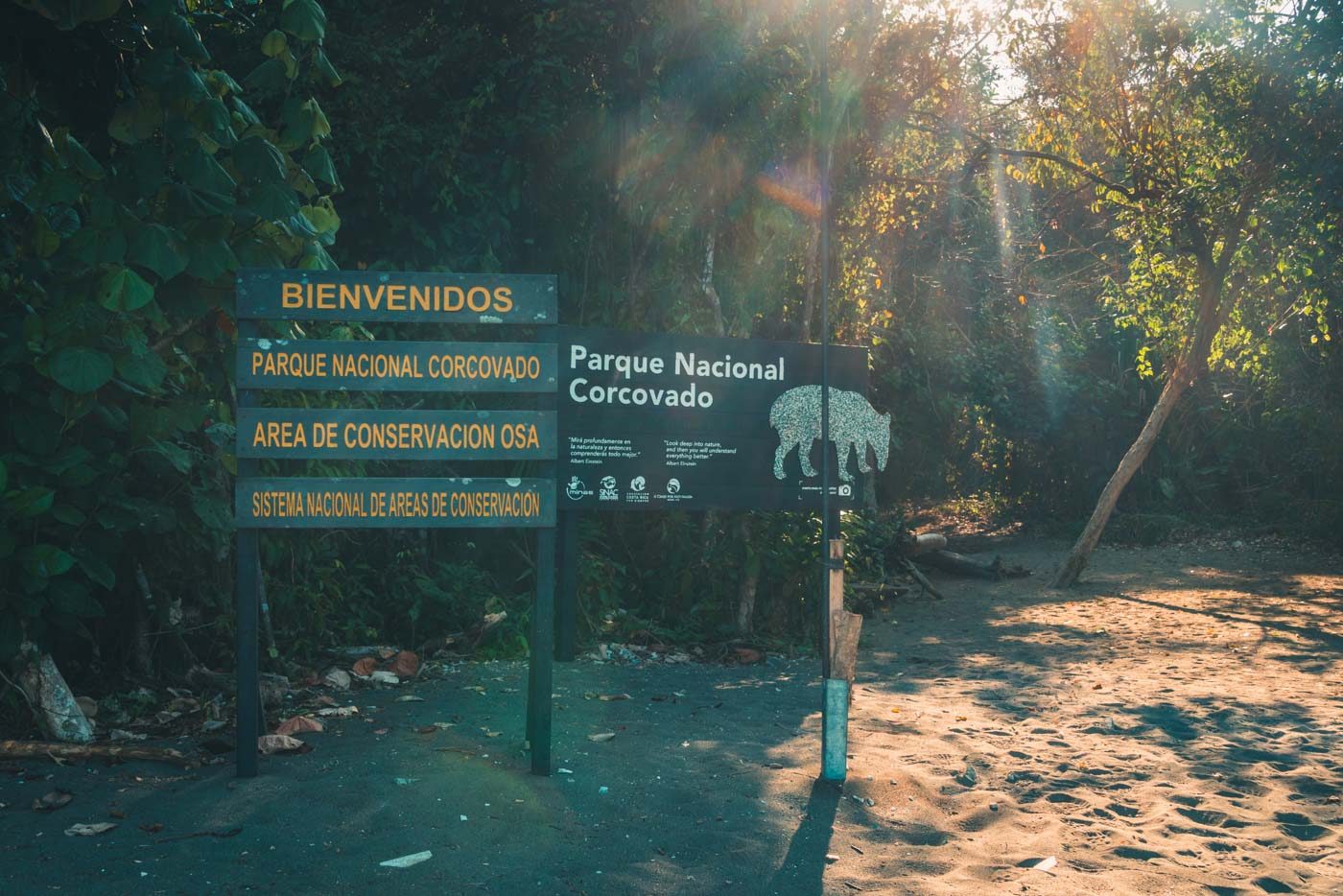 Corcovado National Park, exotic animals in natural habitat