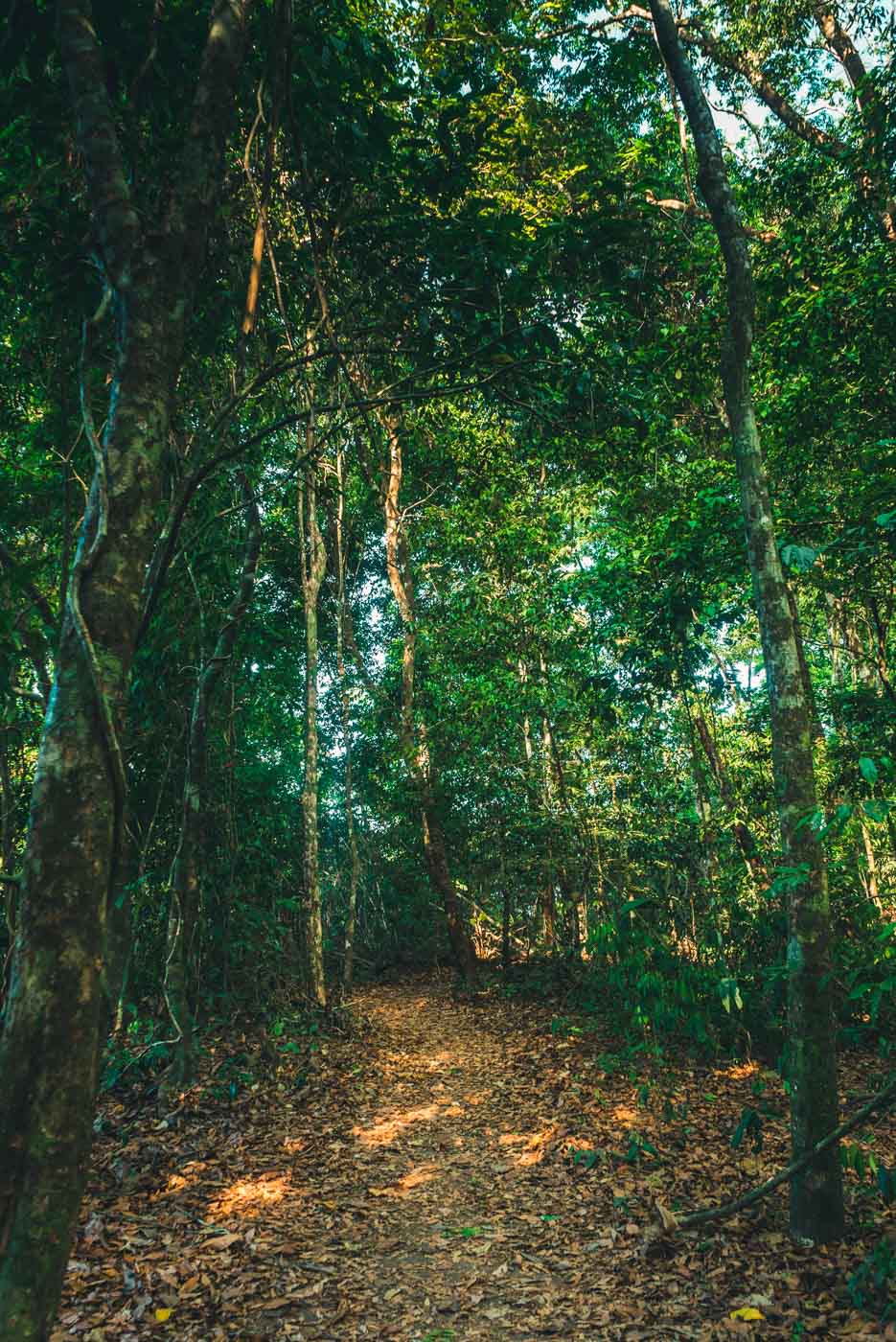 Best costa rica hiking trails