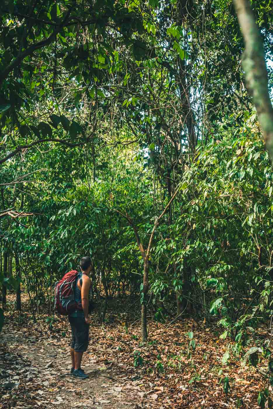 Visit Corcovado National Park: Remember to bring a good daypack!