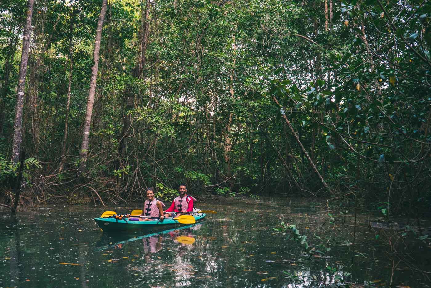 Puerto Jimenez Costa Rica: Kayaking in the mangroves of Osa Peninsula