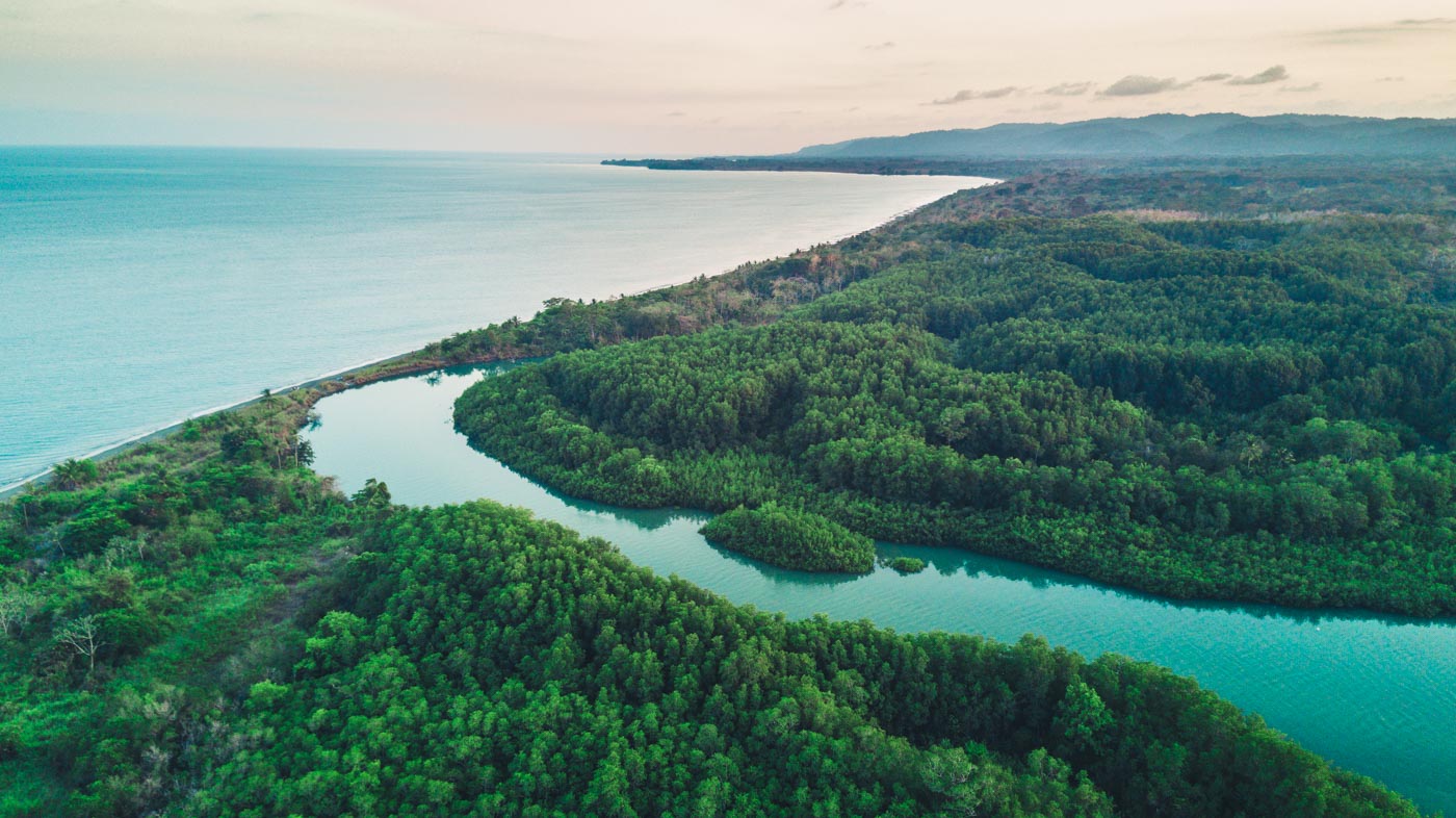 Puerto Jimenez Costa Rica: The mangrove swamps of Gulfo Dulce, Osa Peninsula