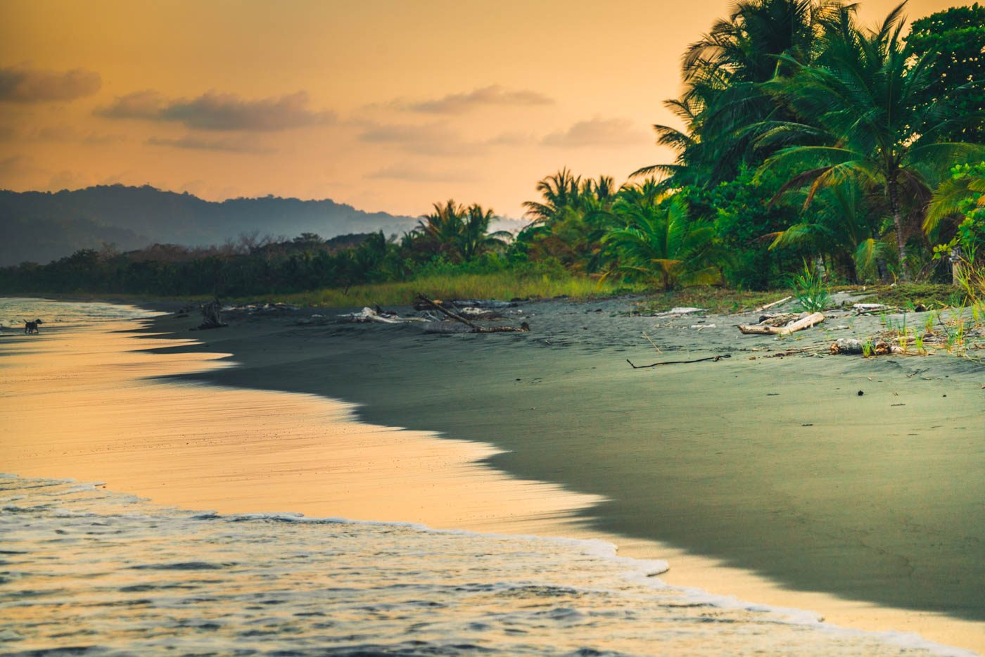 best time to visit costa rica 