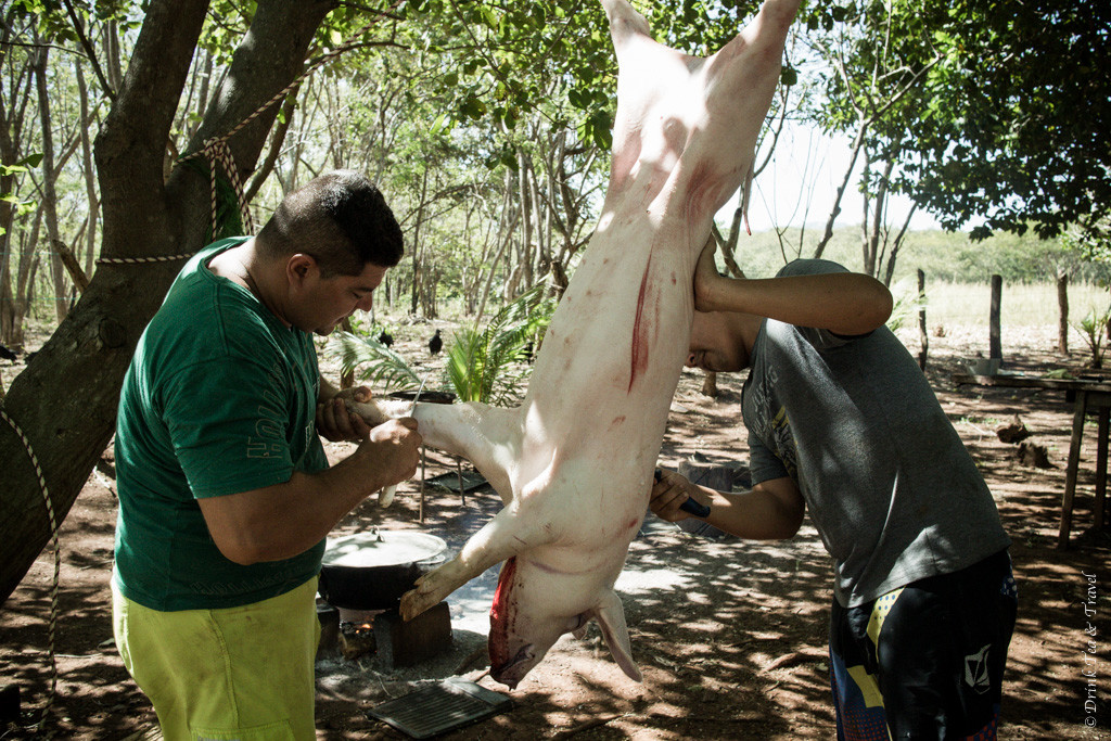 Pig Roast in Costa Rica