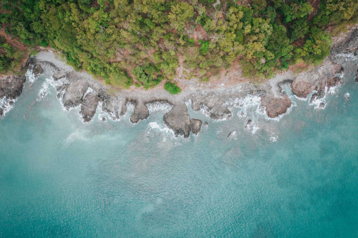 Lush green shores of Playa Flamingo in the green season. 