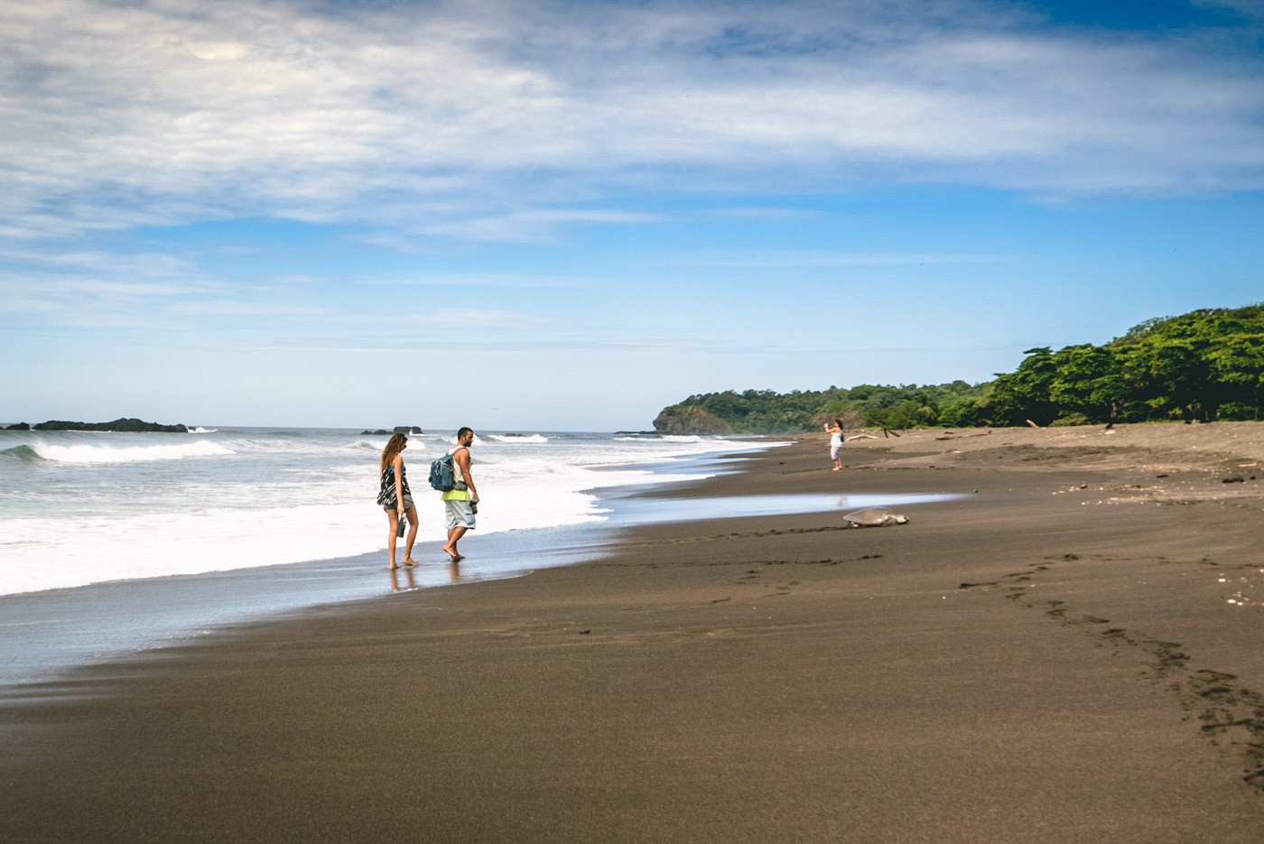 On Playa Ostional during Arribada in 2016