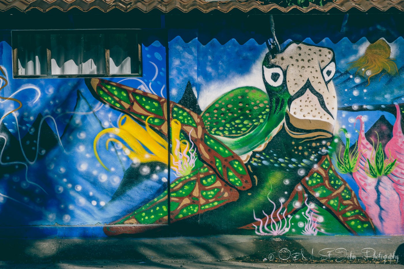 Wall art in Samara Costa Rica