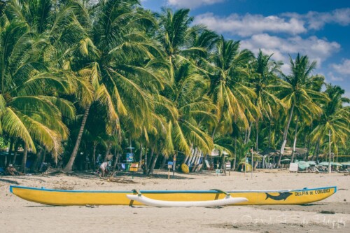 7 Best Things to do in Playa Samara, Costa Rica