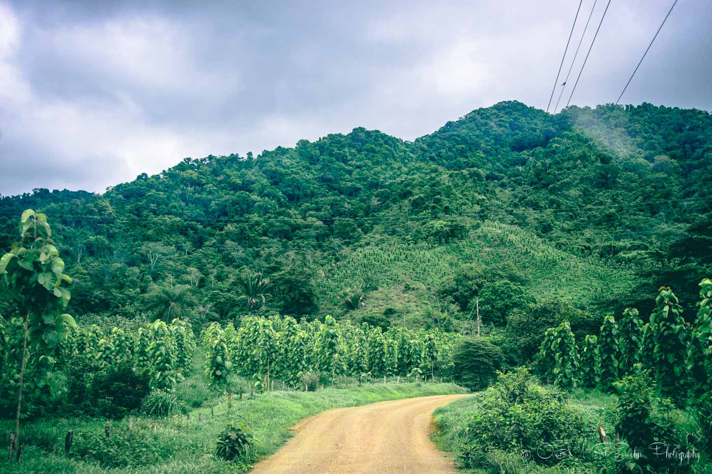 Road to Mal Pais, Nicoya Peninsula. 