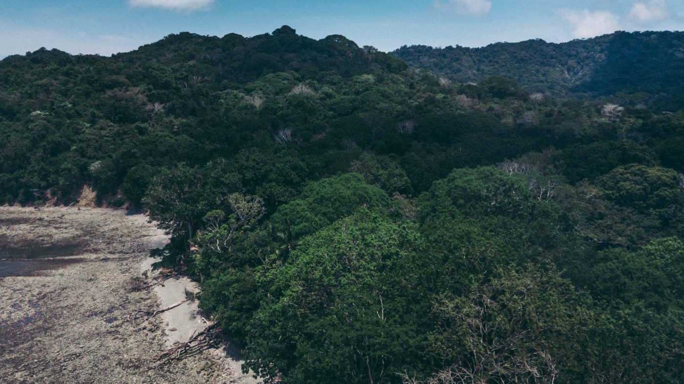 things to do in santa teresa costa rica: Cabo Blanco Nature Reserve from above