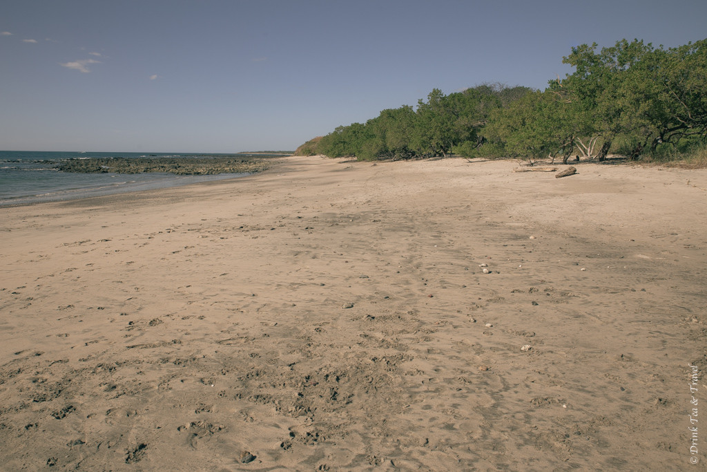 We'll be getting married on this exact beach. Costa Rica. 