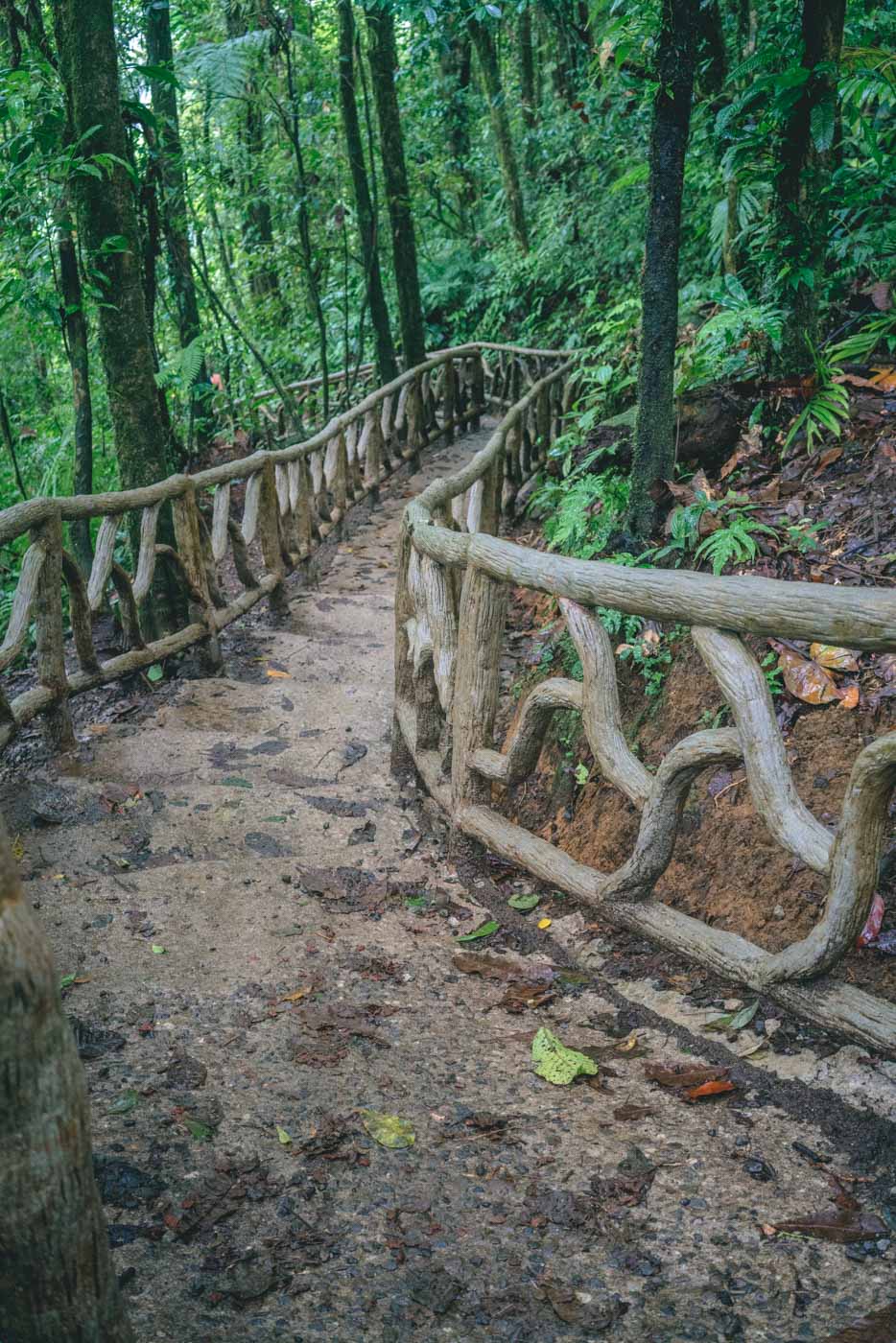 Arenal Costa Rica: Tenorio National Park